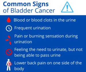 Understanding Bladder Cancer